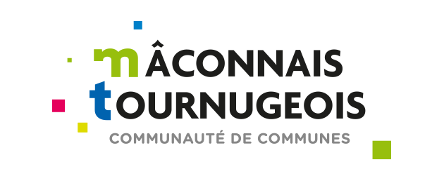 logo ccmt